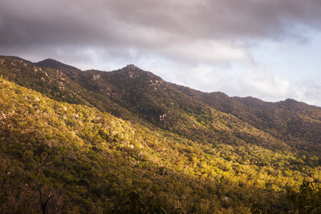 Sunlight on bushland with a mountain and trees in the backgroundの写真素材