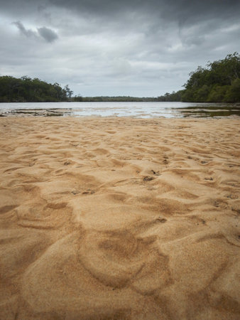 ripples in sand bank at low tide on beach amidst wooli river nsw australiaの写真素材
