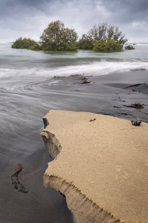 a sandy beach next to a body of water with trees in ocean at diggers camp australiaの写真素材