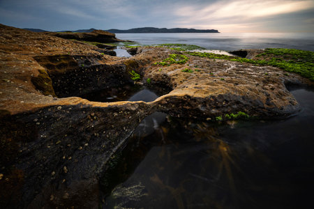 interesting rock formations at pearl beach on nsw central coast australiaの写真素材