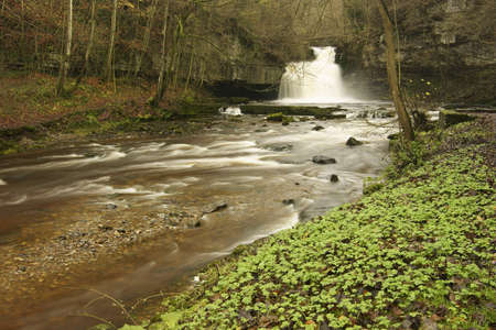 West Burton Falls on the river Ure is to be found clos to the village green of West Burton  a popular location for artists and photographers  の写真素材