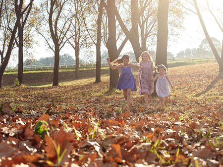 Young girls children kids playing running in fallen autumn leavesの写真素材