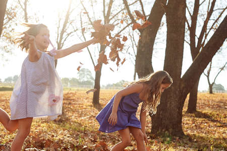 Young girls children kids playing running in fallen autumn leavesの写真素材