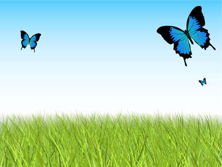 Blue Sky with Detailed Grass and Butterfliesのイラスト素材