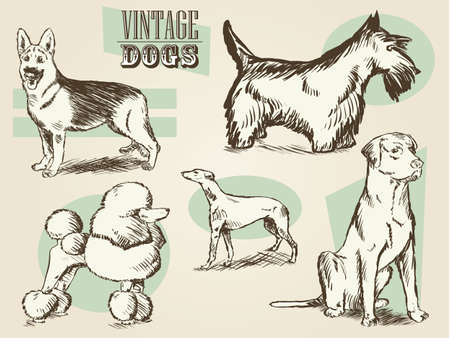 Classic Retro Ornate Dog Collectionのイラスト素材