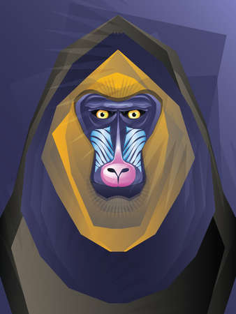 Mandril Monkey Illustrationのイラスト素材