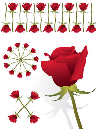 Red rose pattern setのイラスト素材