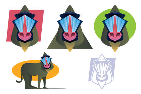 Various colorful Baboon Illustrations Collectionのイラスト素材
