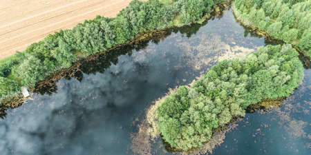 Aerial photo of an island in the pond, at an angle from aboveの写真素材