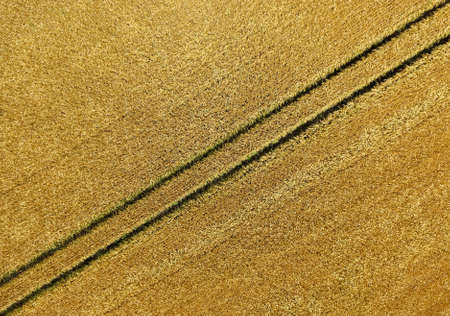Yellow background from an aerial photo, abstract picture of a furrow in the field after the harvestの写真素材