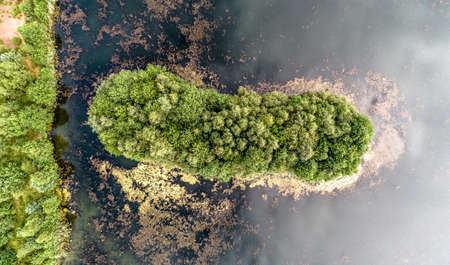 Aerial photo of an island in the pond, vertically from aboveの写真素材