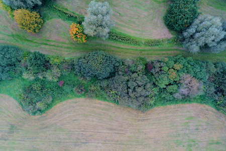 Mowed meadow with bush row and trees, aerial view, altitude sixty metersの写真素材