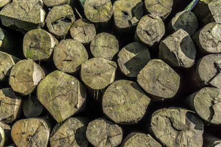 Warehouse with a large stack of wood, background, texture, abstractの写真素材