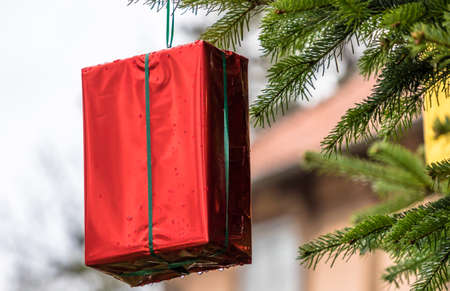 Red wrapped Christmas present with a green ribbon hanging on a Christmas treeの写真素材