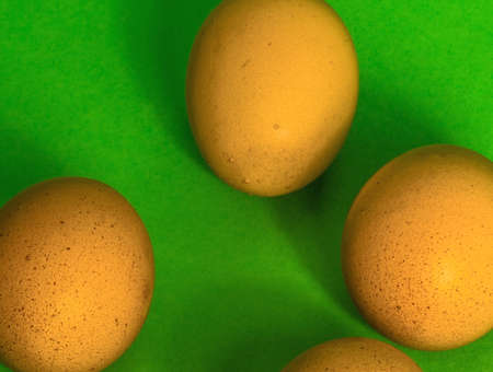 Abstract image of Easter, four incomplete eggs on a green background with soft shadows, conceptの写真素材