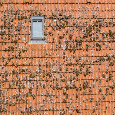 Inspection of the red tiled roof of a single-family house, inspection of the condition of the tiles...