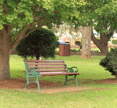 Park Bench - Tree - Grassの写真素材