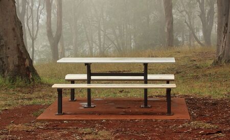 Picnic Table - Fog Wet - Trees Grass - Picnic Pointの写真素材