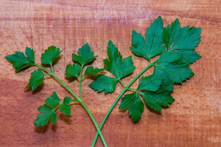 Parsley and celery
