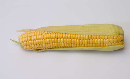 Corn ear on a white background