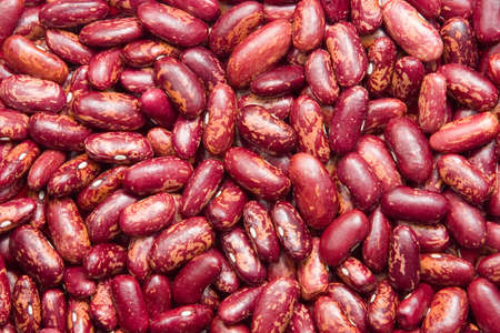 Background of red kidney beansの写真素材
