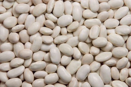 Background of white kidney beans