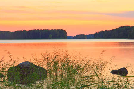 Sunset over a lake, with reed in foregroundの写真素材