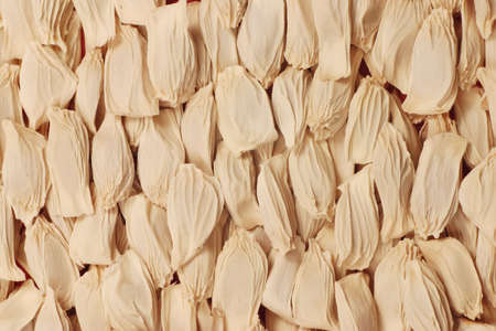 Organic background. Citrus seeds