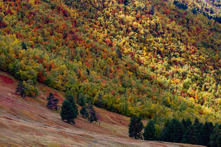 Autumn in Tusheti landscape.の写真素材