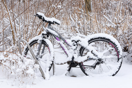 Bicycles covered with snow in the winter forest. Winter landscape.の写真素材
