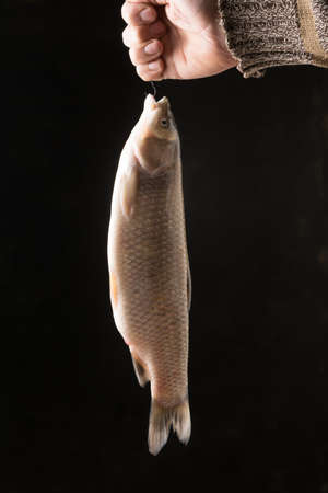 White fish hanging on a fishing line with a hook.の写真素材