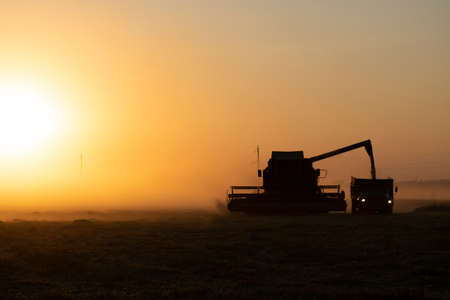 Combine harvester at work harvesting field of crop. Harvest season themes and other agricultureの写真素材