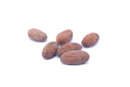 Roasted cacao beans isolated on white backgroundの写真素材