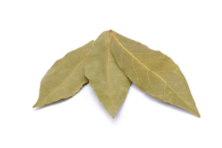 Spices bay leaves isolated on white backgroundの写真素材