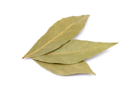 Spices bay leaves isolated on white backgroundの写真素材