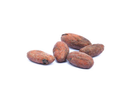 Roasted cacao beans isolated on white backgroundの写真素材