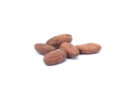 Roasted cacao beans isolated on white backgroundの写真素材