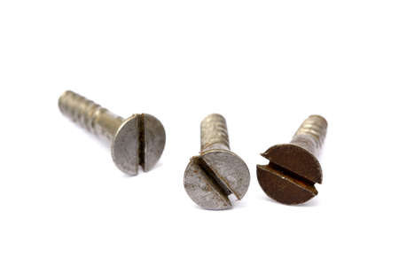 Old Used wood screws isolated on white backgroundの写真素材