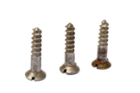 Old Used wood screws isolated on white backgroundの写真素材