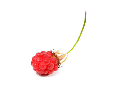 Sweet ripe raspberry isolated on white background