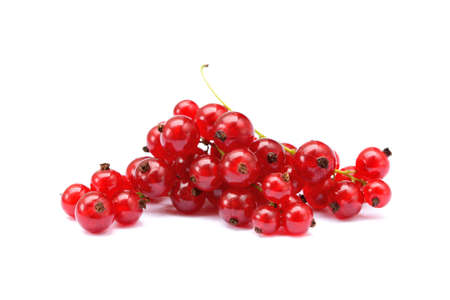 Fresh red currant isolated on white backgroundの写真素材
