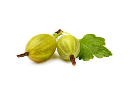 Gooseberries Fresh ripe isolated on a white backgroundの写真素材