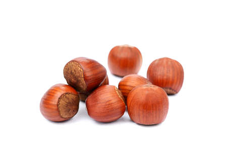 Group hazelnuts isolated on white backgroundの写真素材