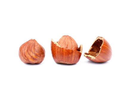 Group healty hazelnuts isolated on white backgroundの写真素材