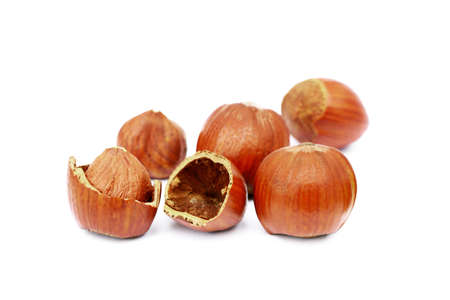 Group of fresh hazelnuts isolated on white backgroundの写真素材
