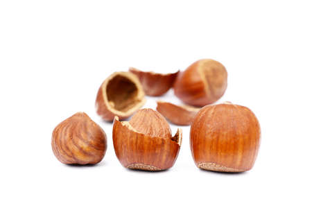 Group of fresh hazelnuts isolated on white background