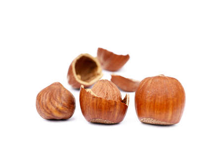 Group of fresh hazelnuts isolated on white backgroundの写真素材