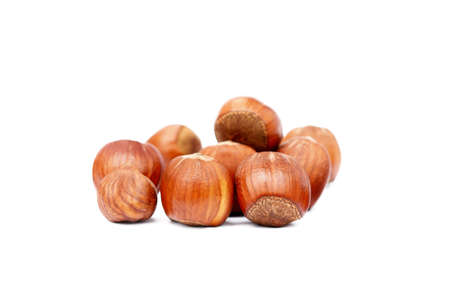 Group of fresh hazelnuts isolated on white backgroundの写真素材