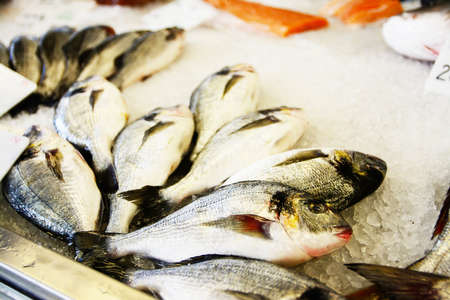 Fish Exposed in fish shop on counterの写真素材