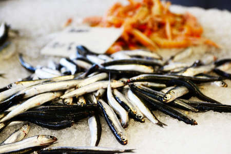 Fish Exposed in fish shop on counterの写真素材